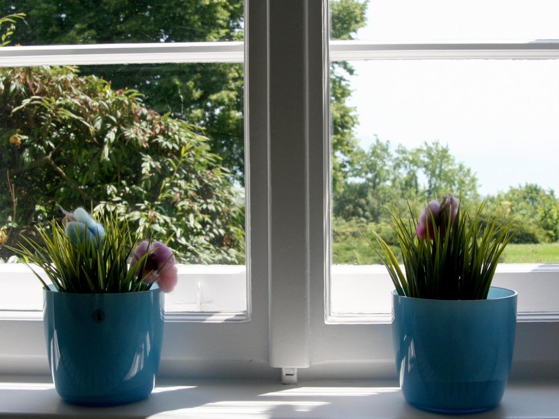 Ferienwohnung Villa Hoyerberg Lindau  Eksteriør billede